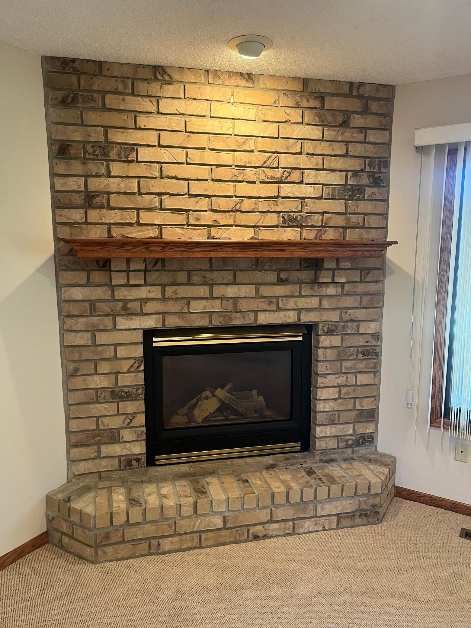 Lower Level Fireplace