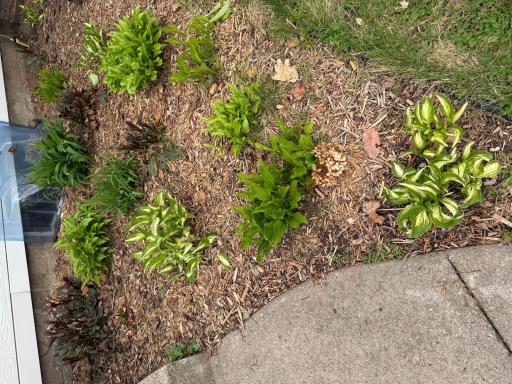 8308 Stevens Avenue S, Minneapolis, MN 55420