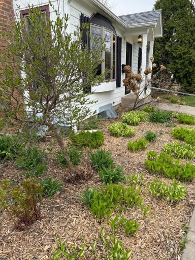 8308 Stevens Avenue S, Minneapolis, MN 55420