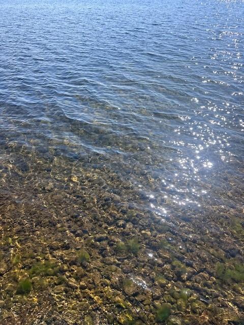 Photo 32