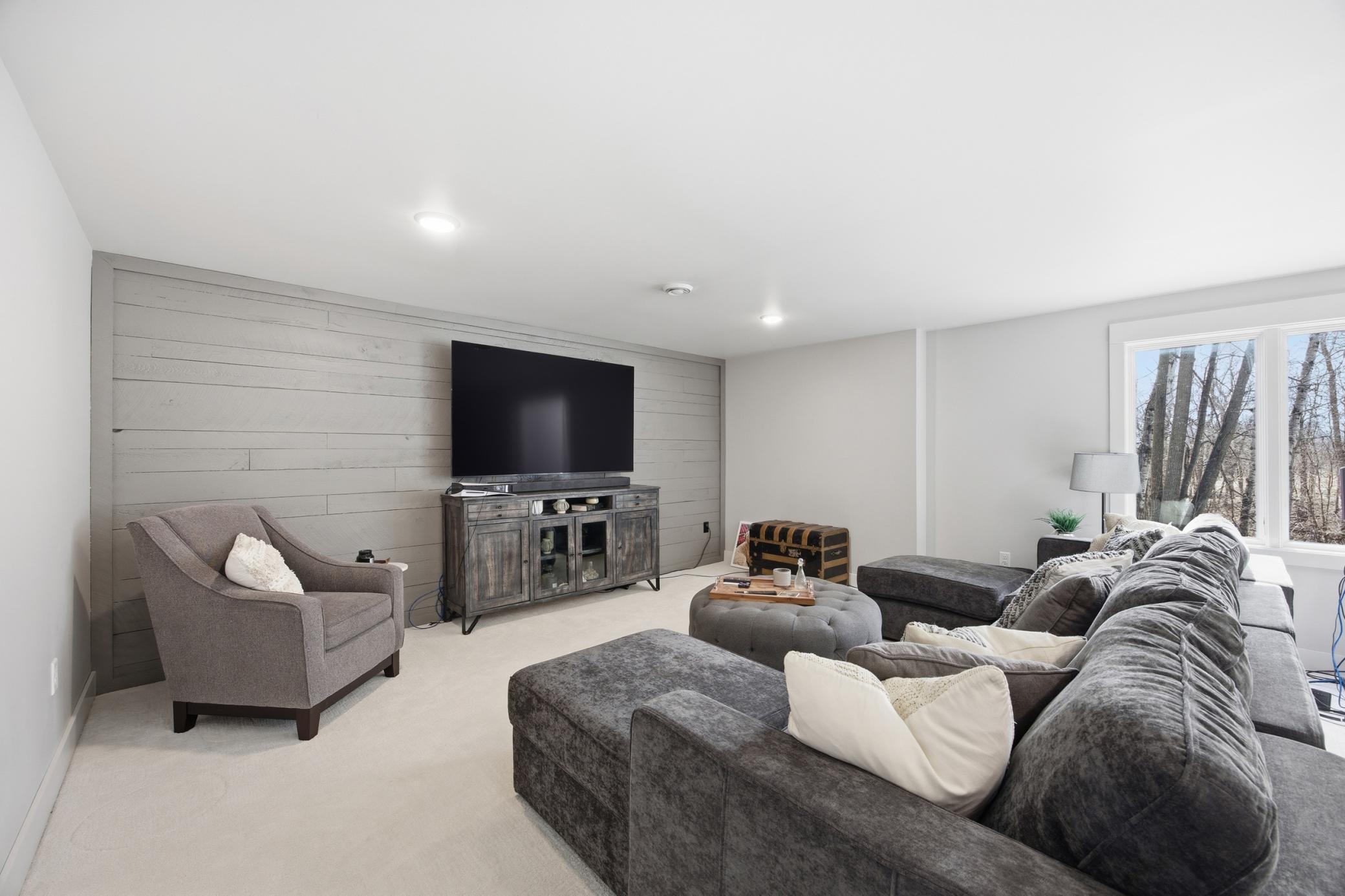 Downstairs Family Room