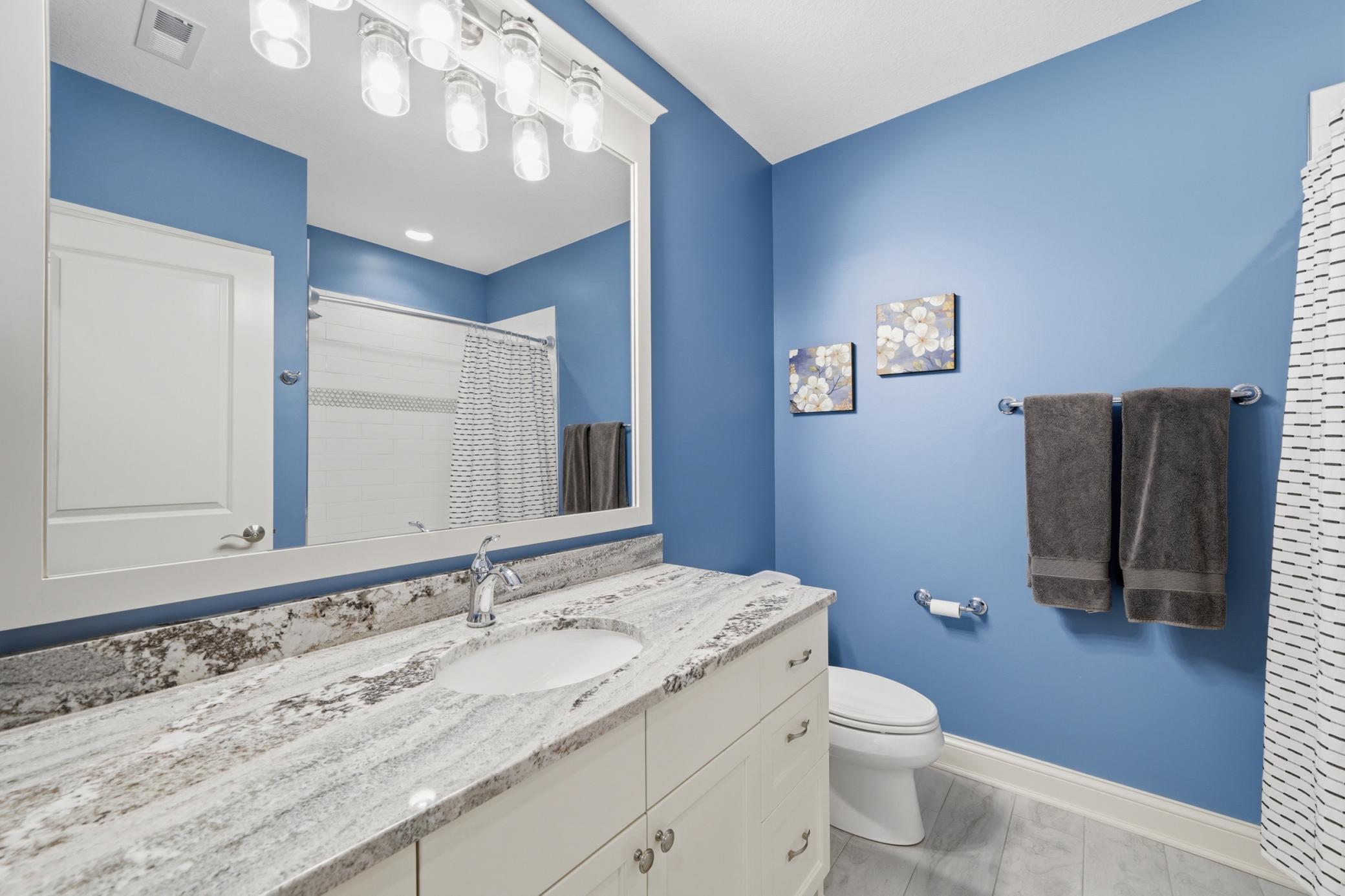 10245 57th ave n, plymouth, mn 55442_0044.jpg