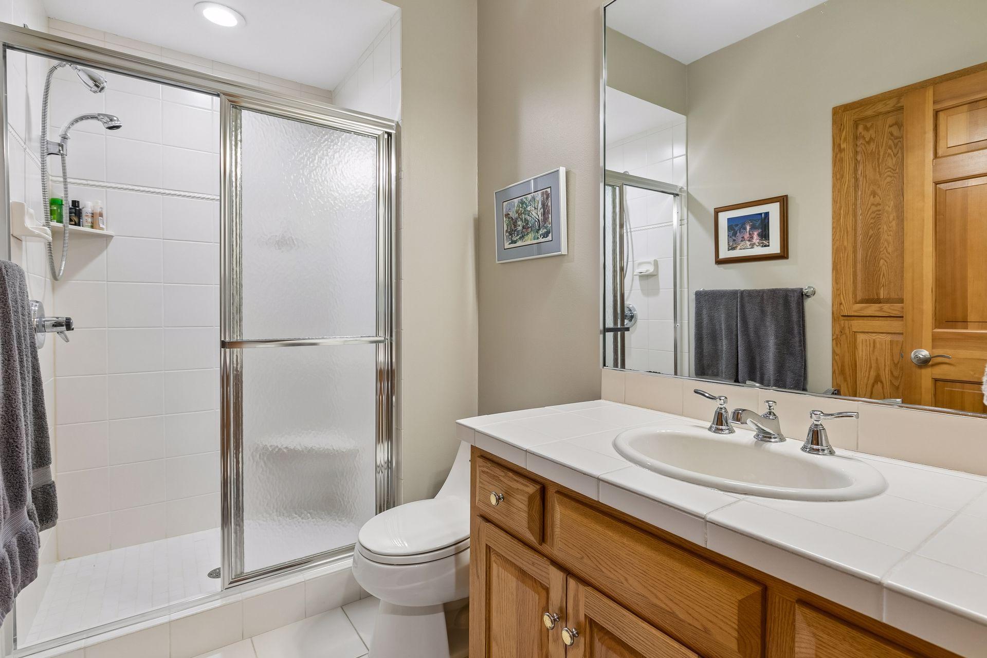 Lower level 3/4 bath