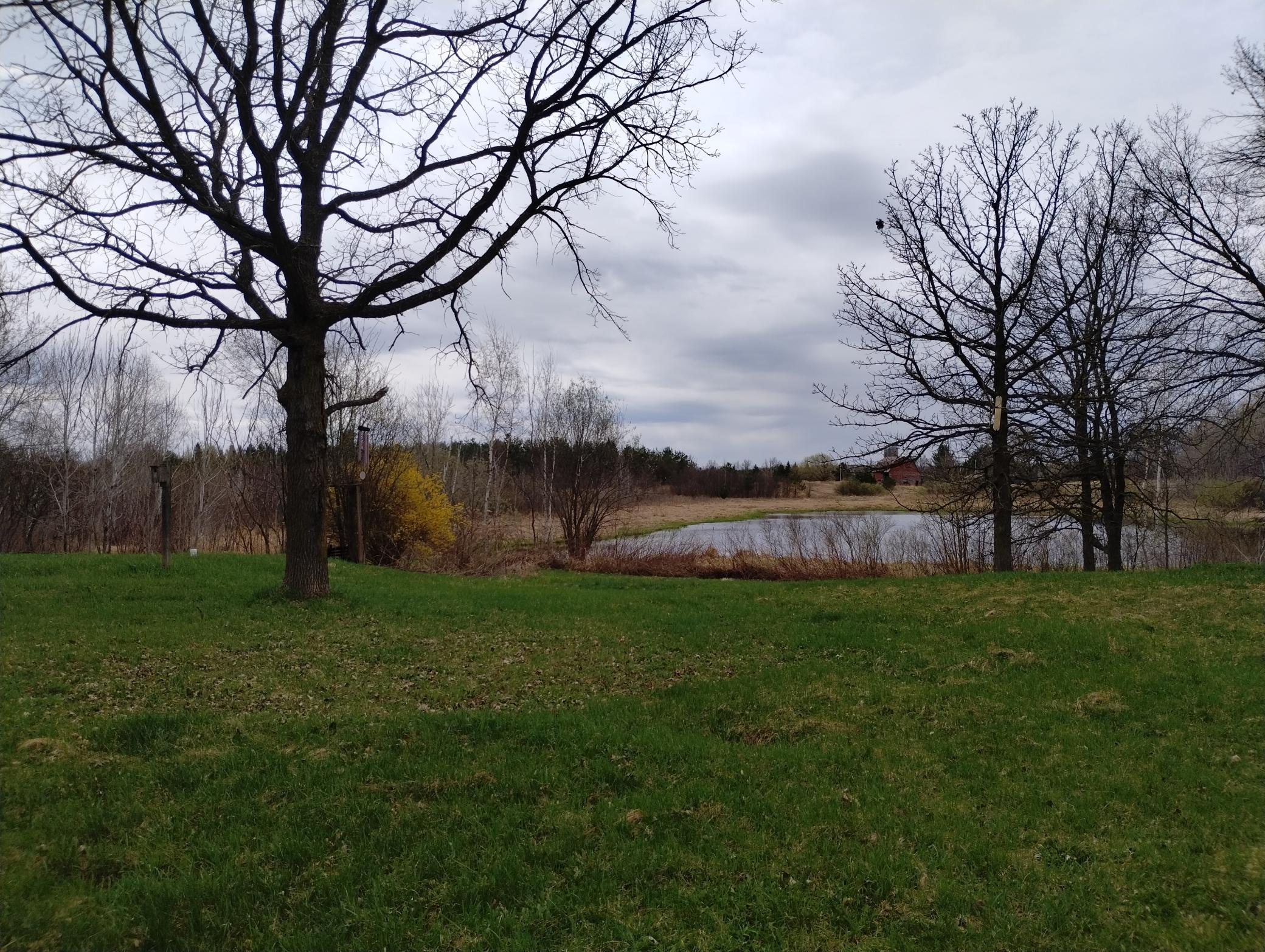 IMG_20260425_131300077.jpg