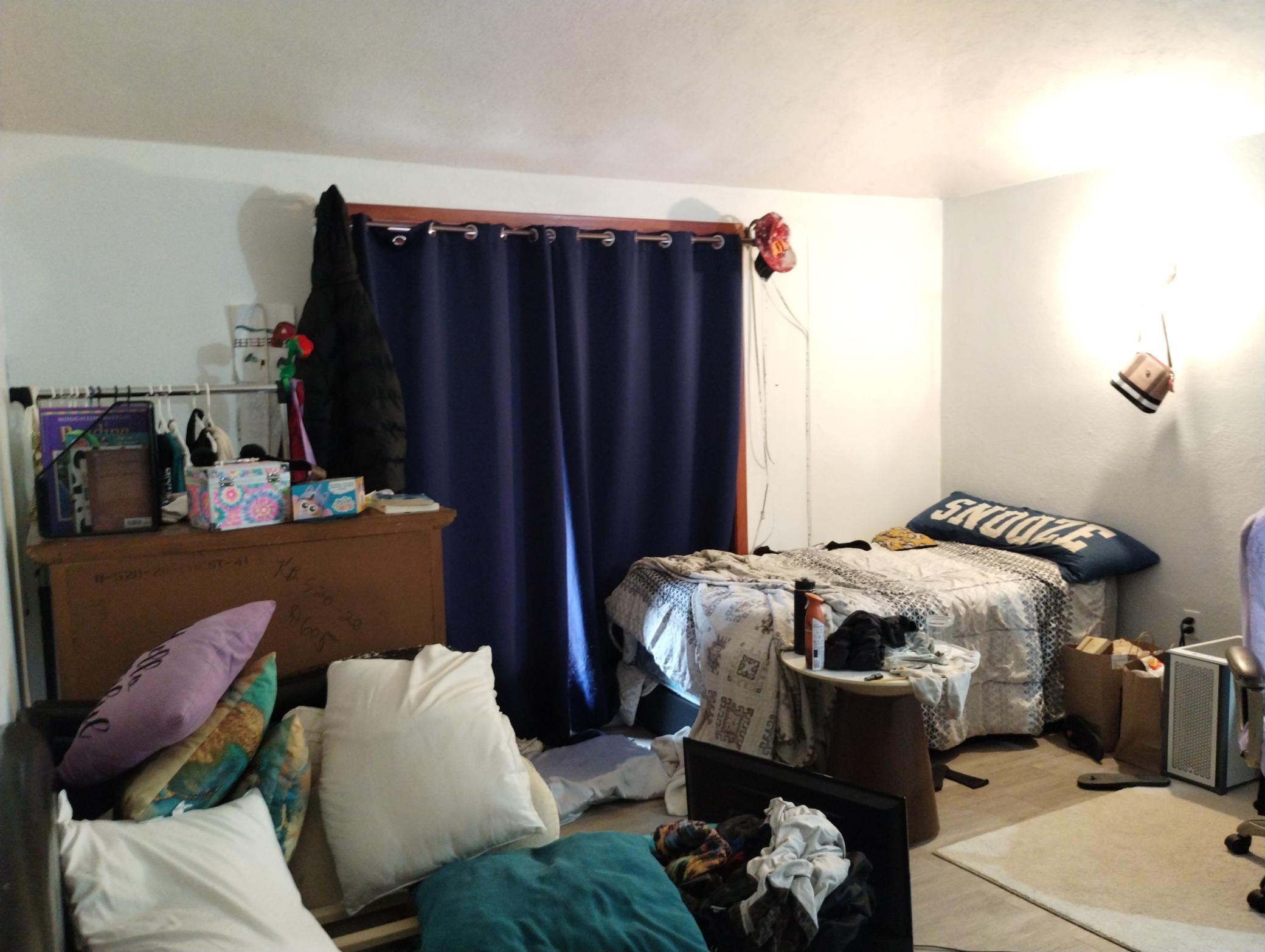 Bedroom with walk-in closet