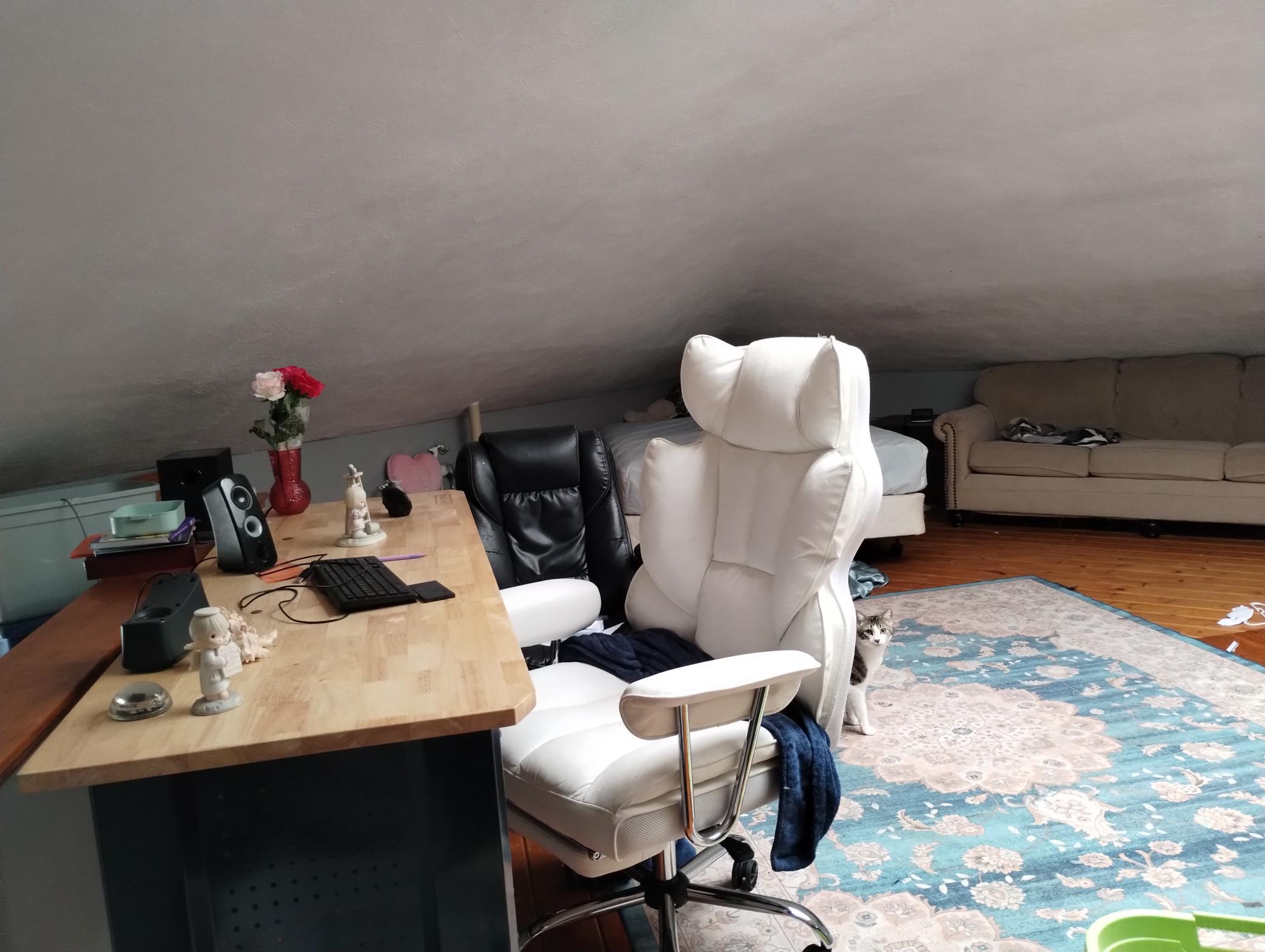 Loft/Hobby room