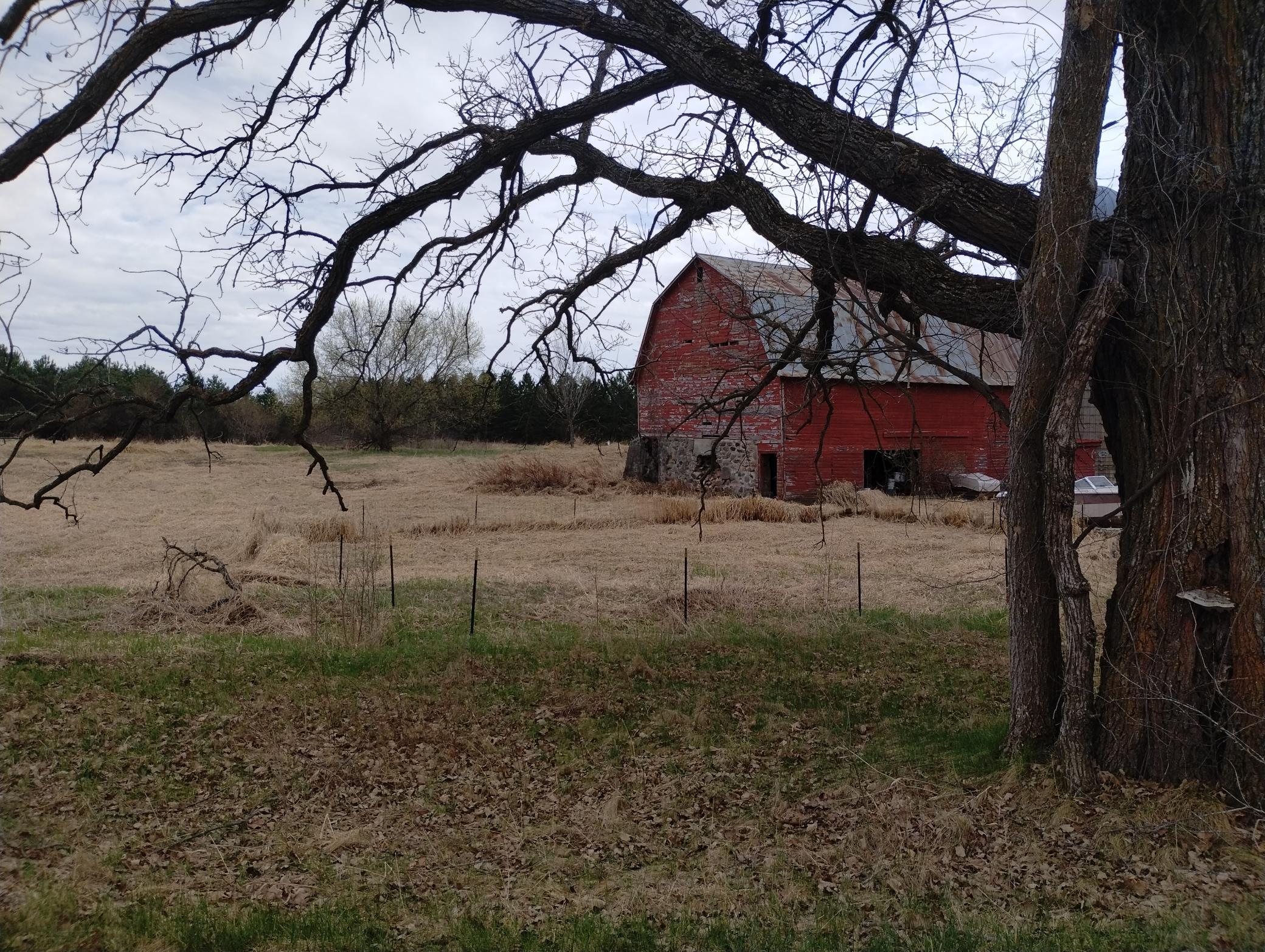 Photo 42