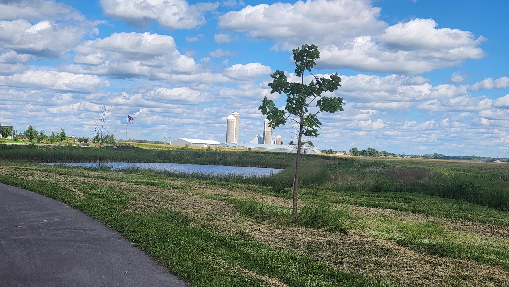 Another angle of the lake