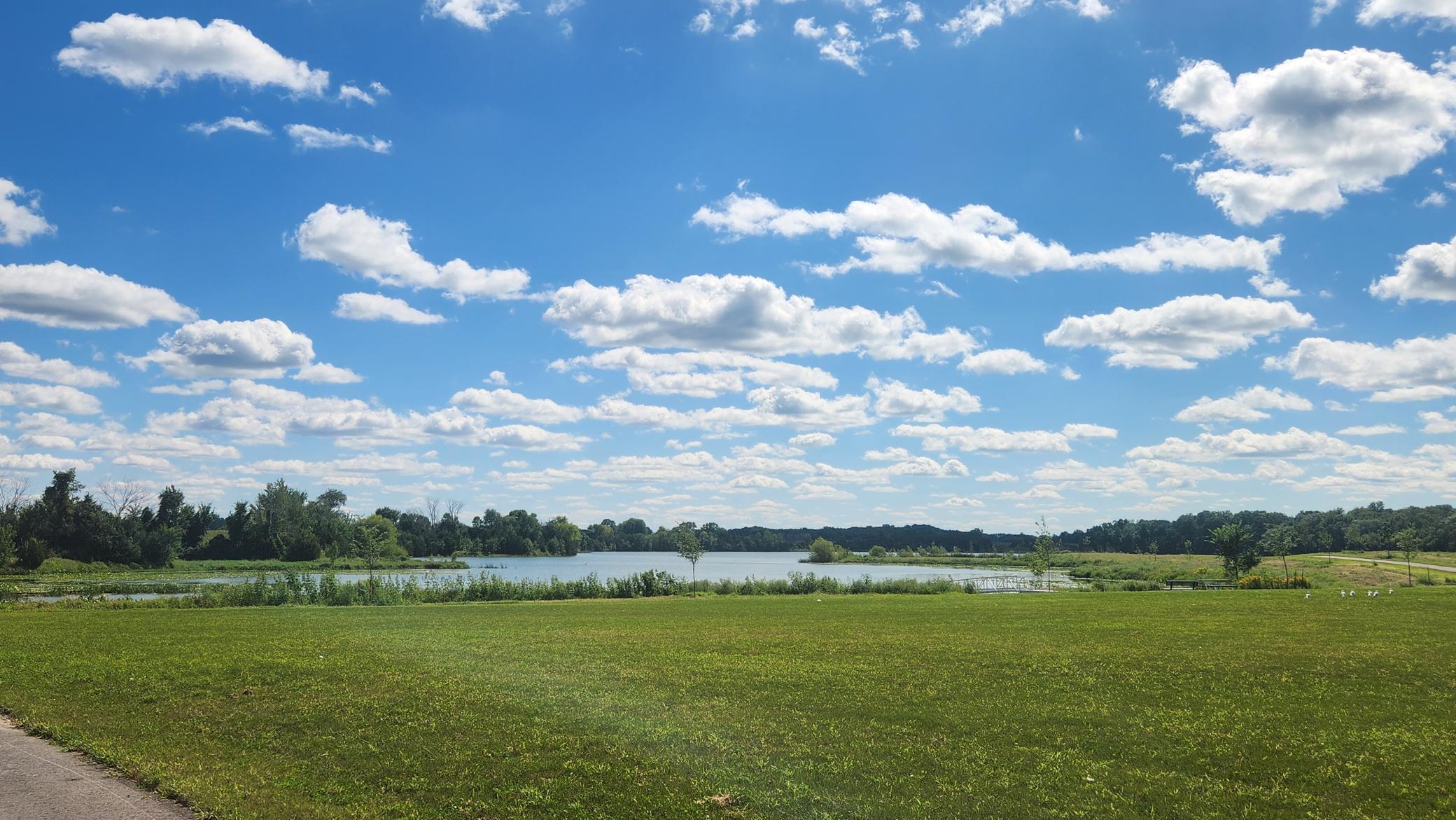 Lake View of the Neighborhood Park