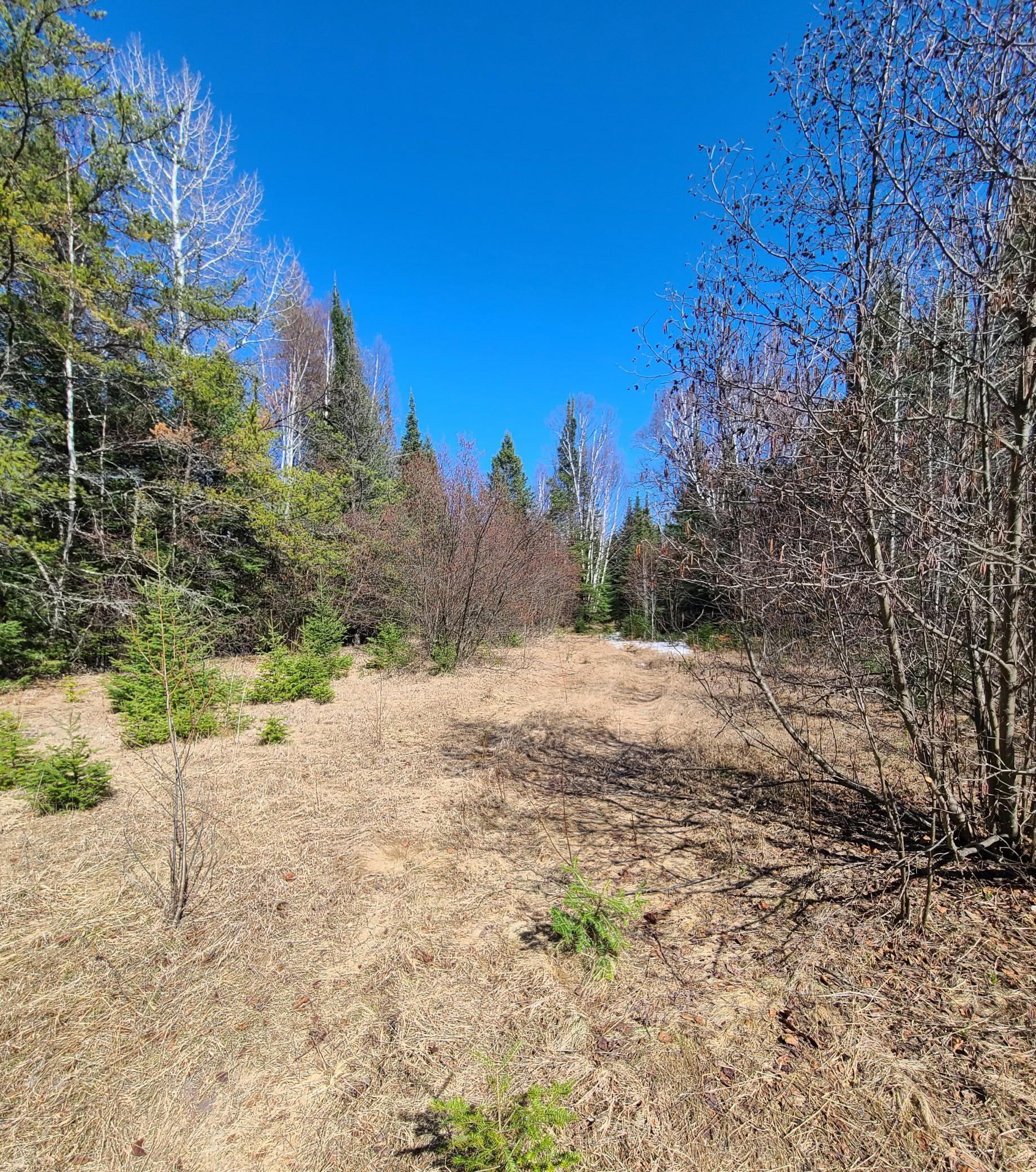 Field near the back section of property