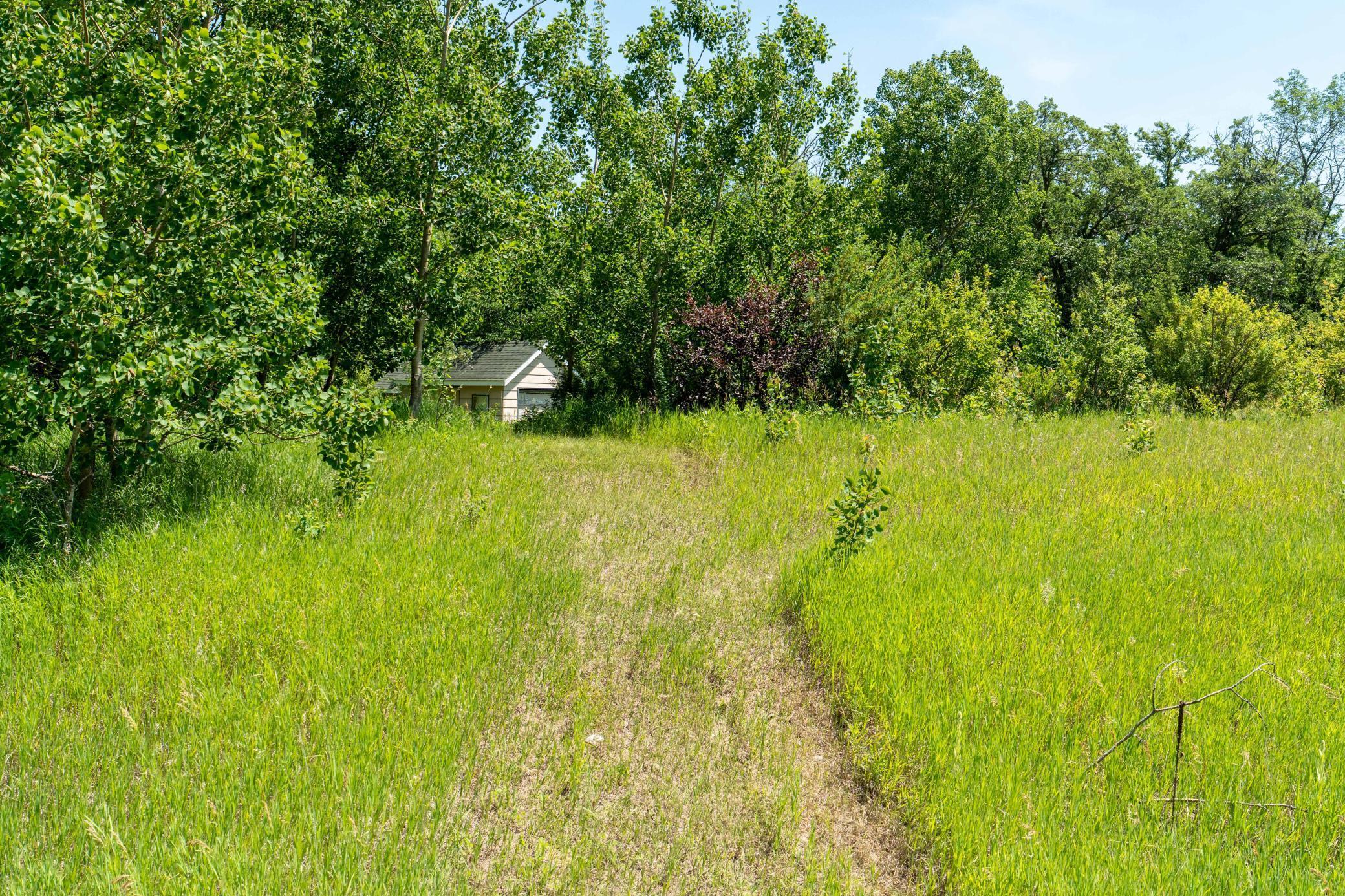 CR 115 roadside shed/path