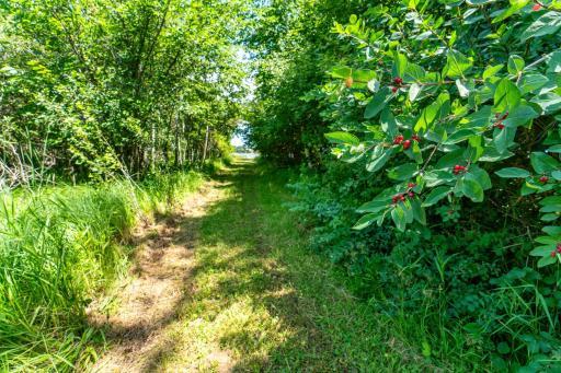 TBD Shady Nook Drive, Underwood, MN 56586