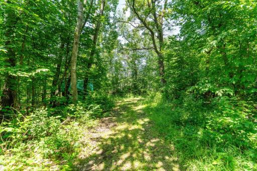 TBD Shady Nook Drive, Underwood, MN 56586