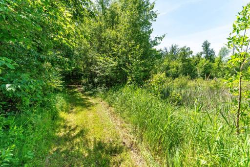 TBD Shady Nook Drive, Underwood, MN 56586