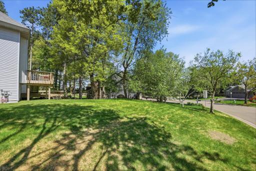 Expansive outdoor space with a large side yard.