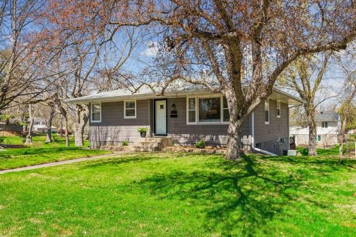 Welcome homeâbeautiful mature tree and inviting front yard.