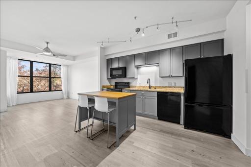 4500 Chicago Avenue S, 210, Minneapolis, MN 55407