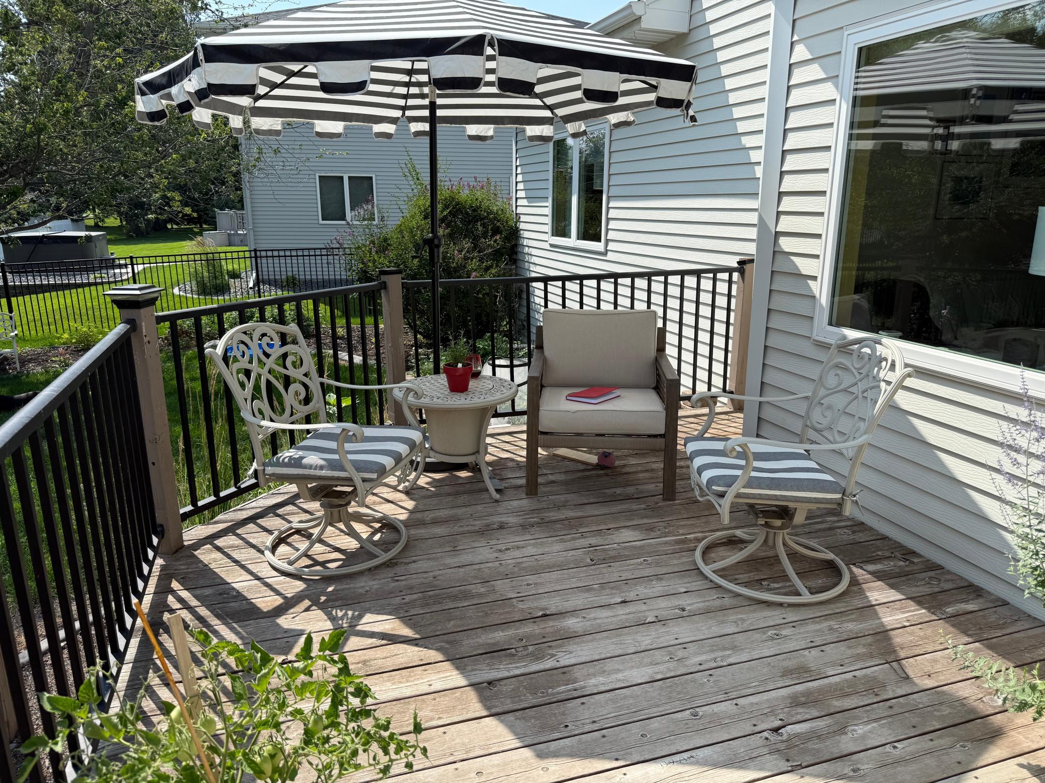 Backyard Deck - last summer