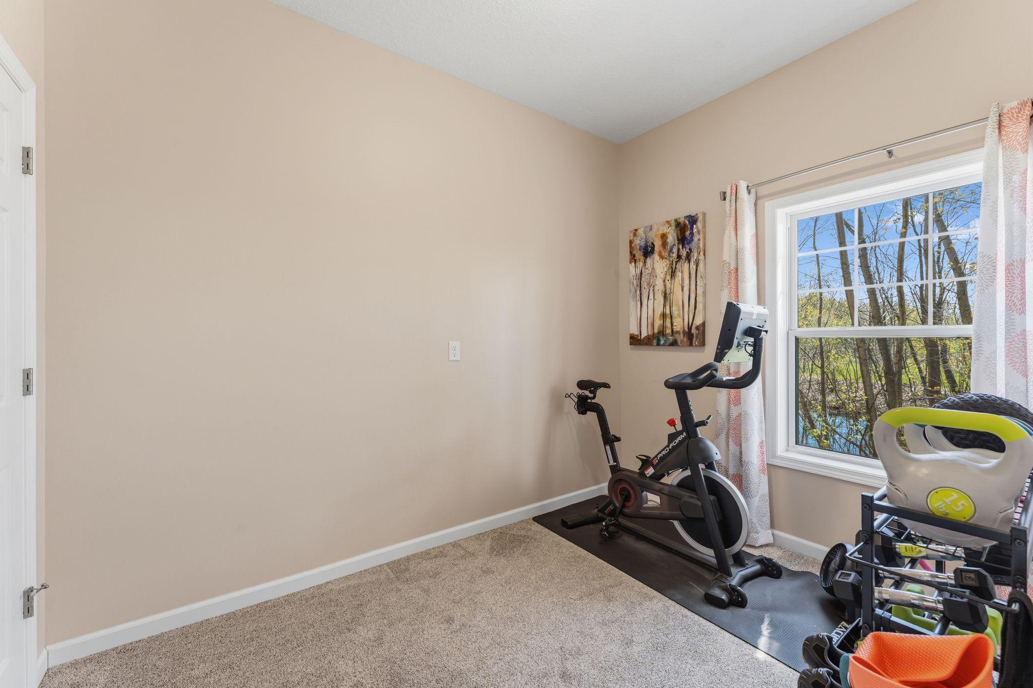 Lower level bedroom