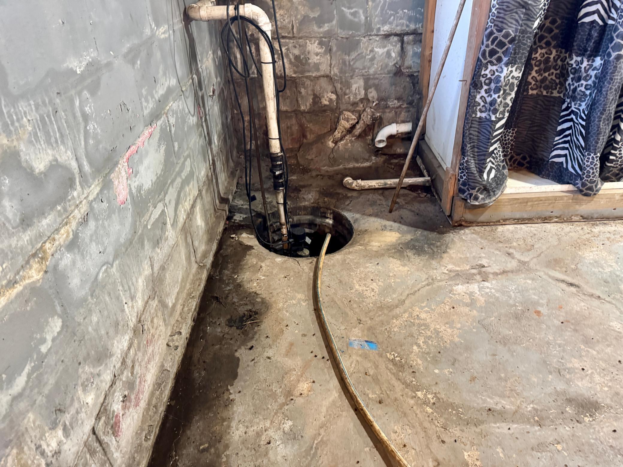 Sump pump