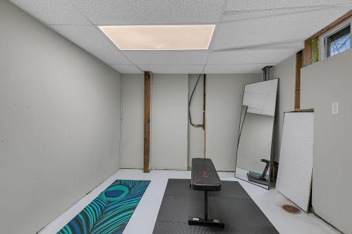 Additional Bonus Room in Lower Level currently setup as a gym
