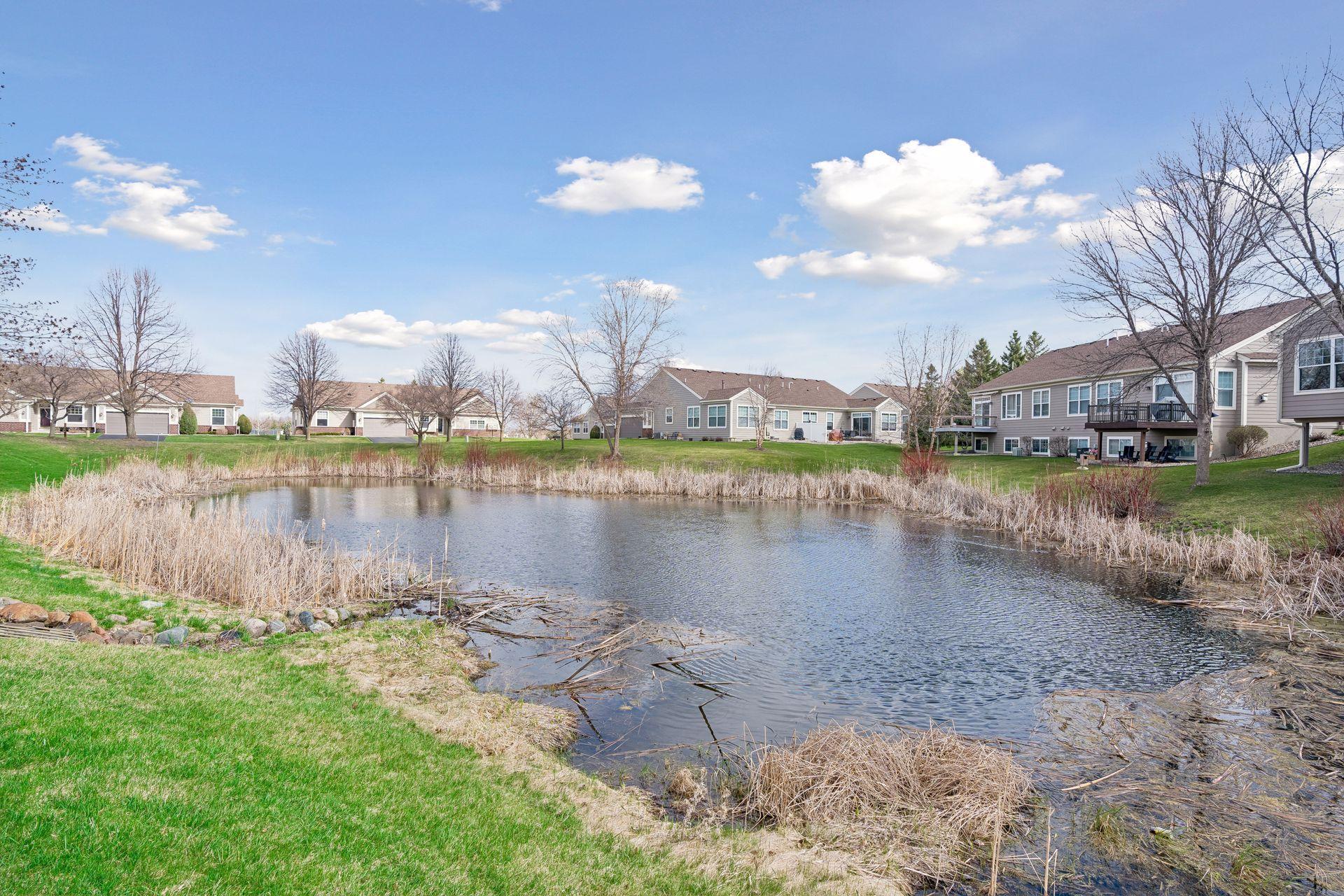 The pond is home to a family of ducks!