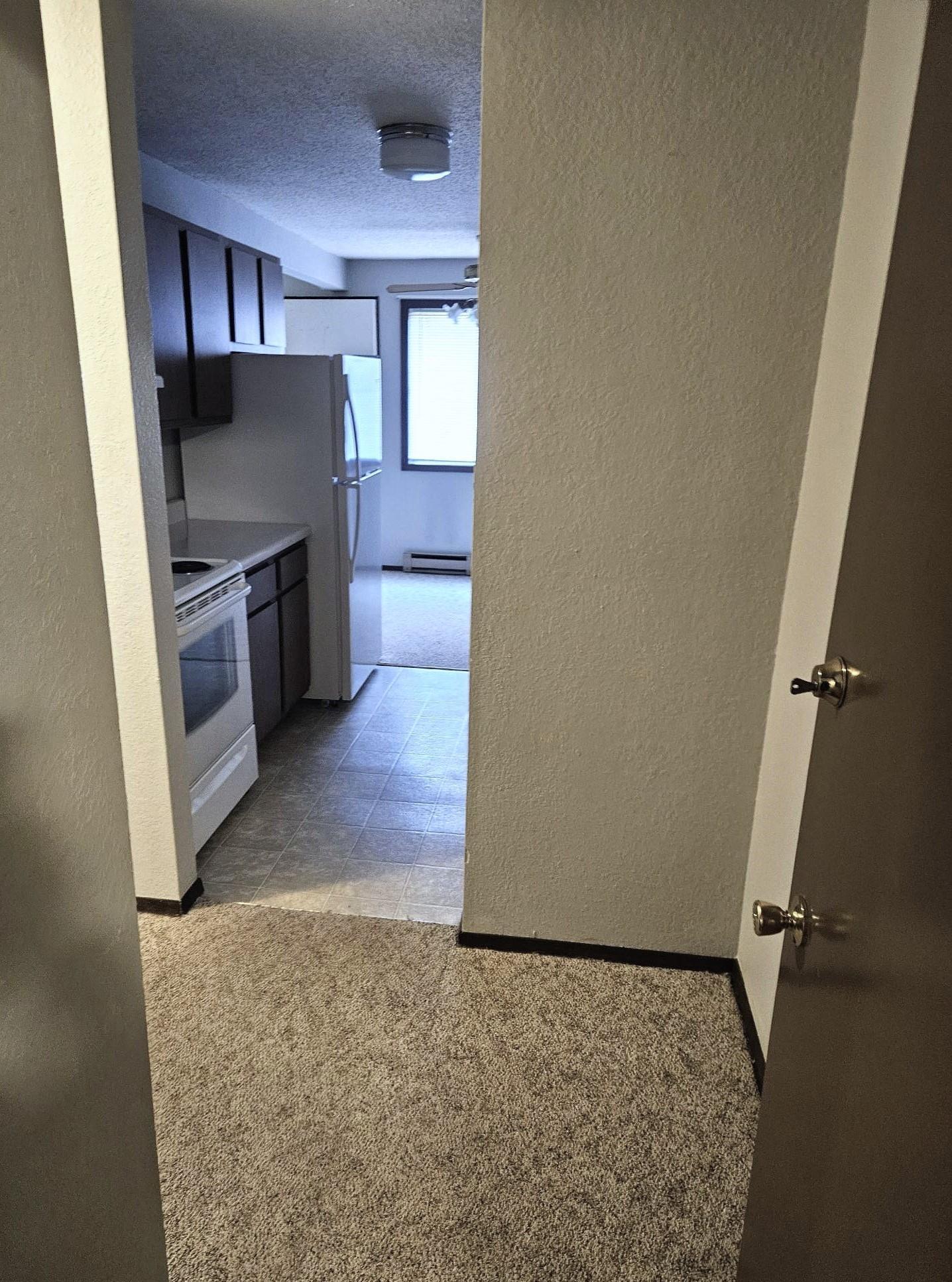 Entrance and Kitchen