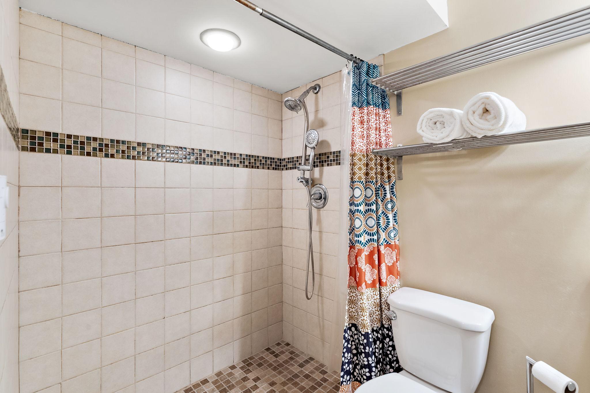 Lower level 3/4 bath with walk in shower