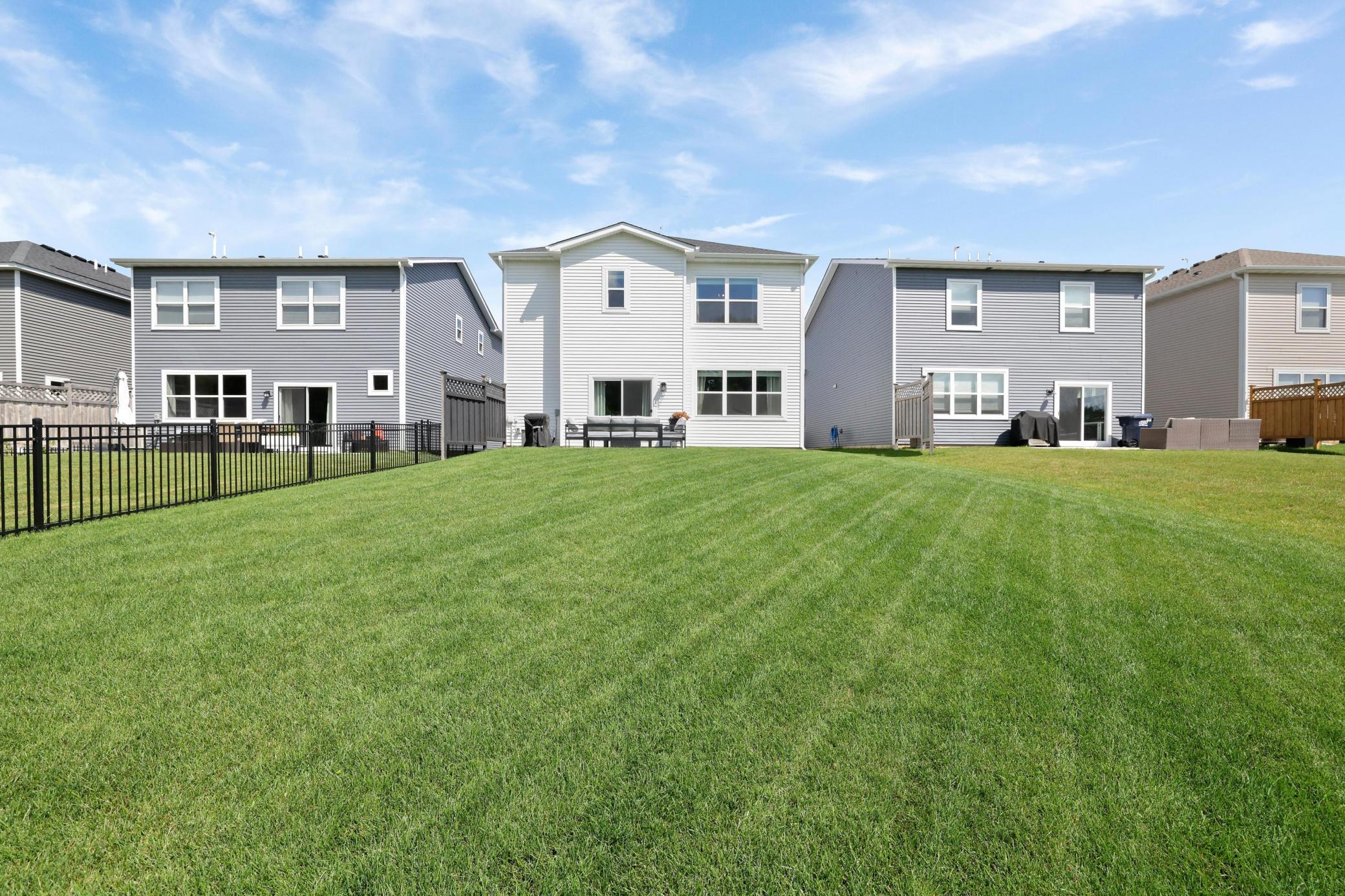 Another backyard view!