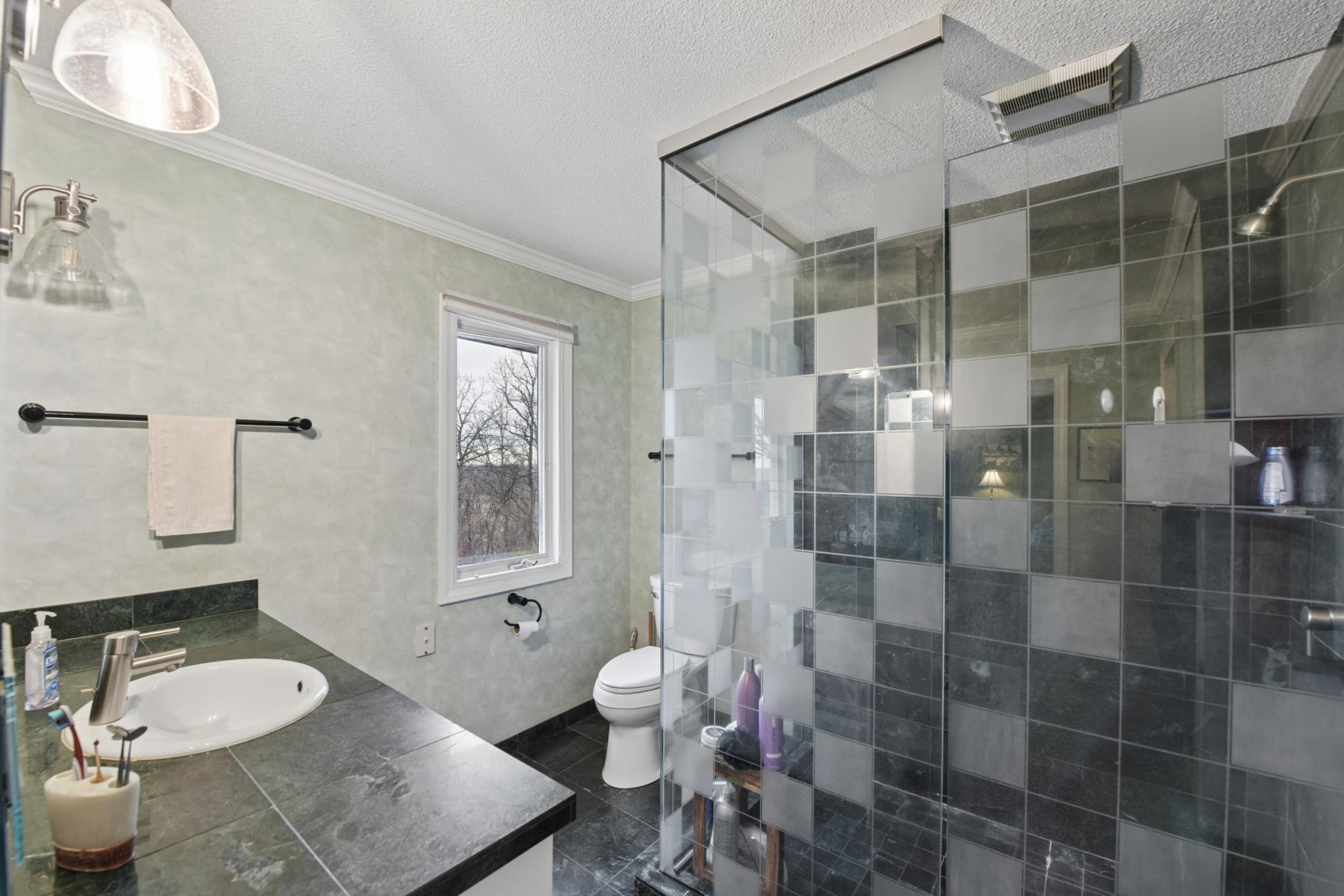 Primary Shower