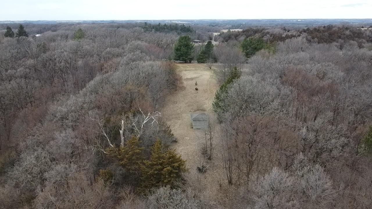 Hunting Shelter East looking West