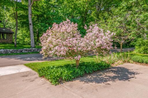 Blooming landscaping and established greenery create exceptional curb appeal from the moment you arrive.