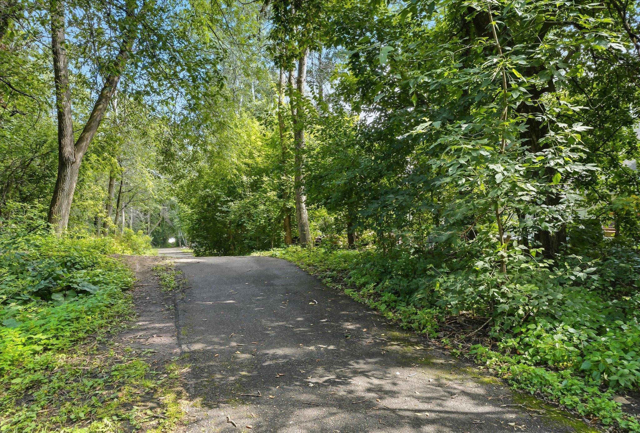 Trail to Wallace Park