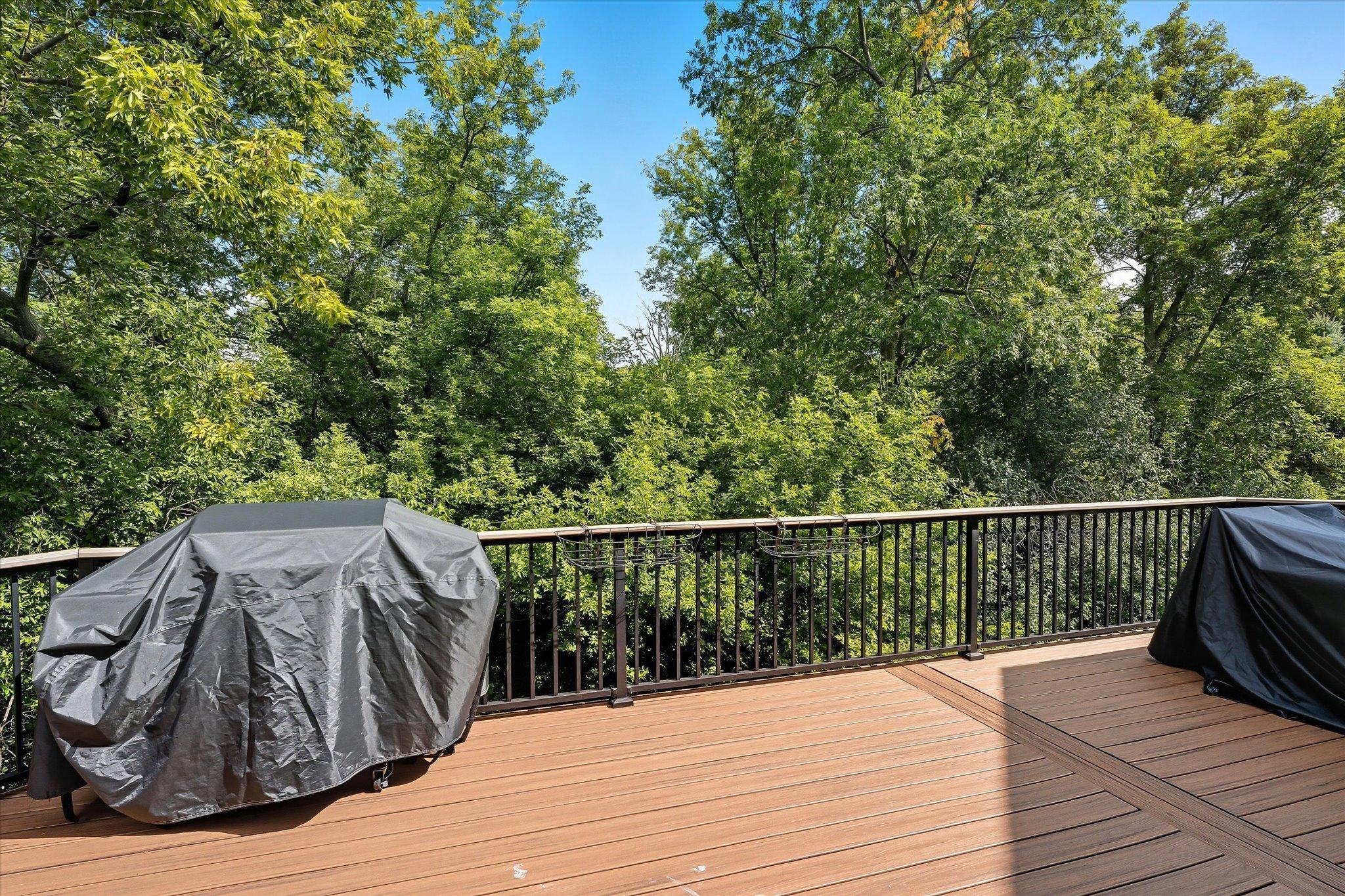 Back yard views from the deck