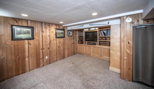 Lower level amusement room with built-in cabinets & shelving