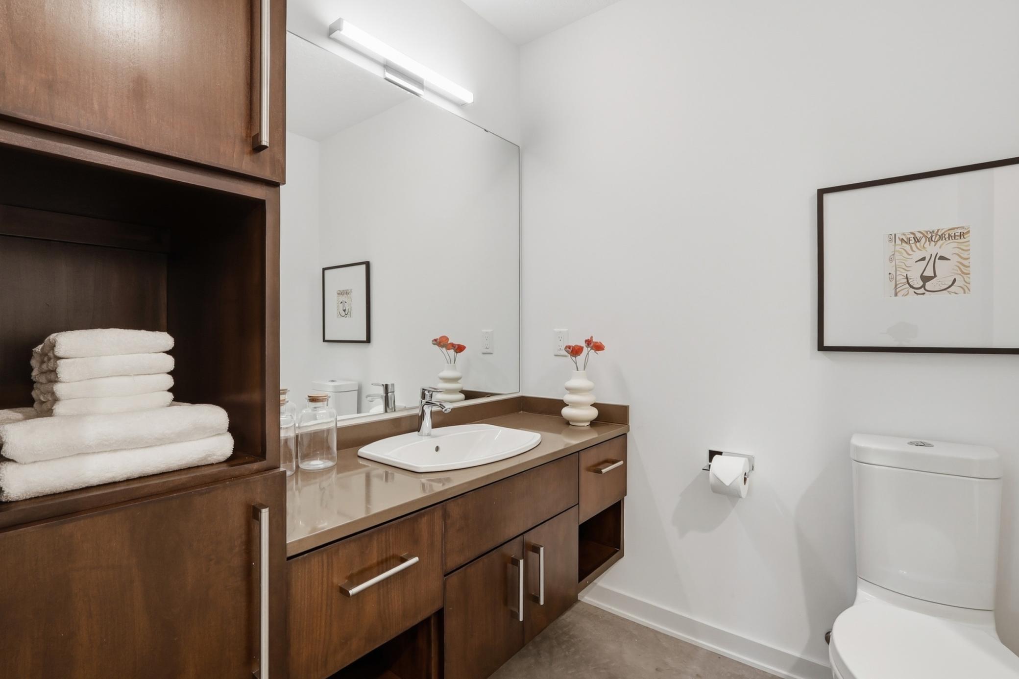 Lower level bathroom with walk in shower