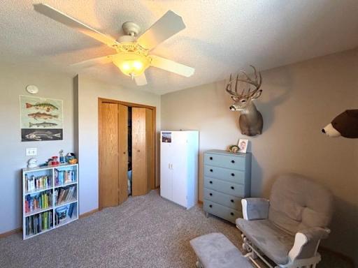 12710 Carow Circle, Frazee, MN 56544