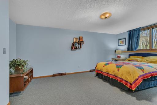 Bedroom 3 - Lower Level