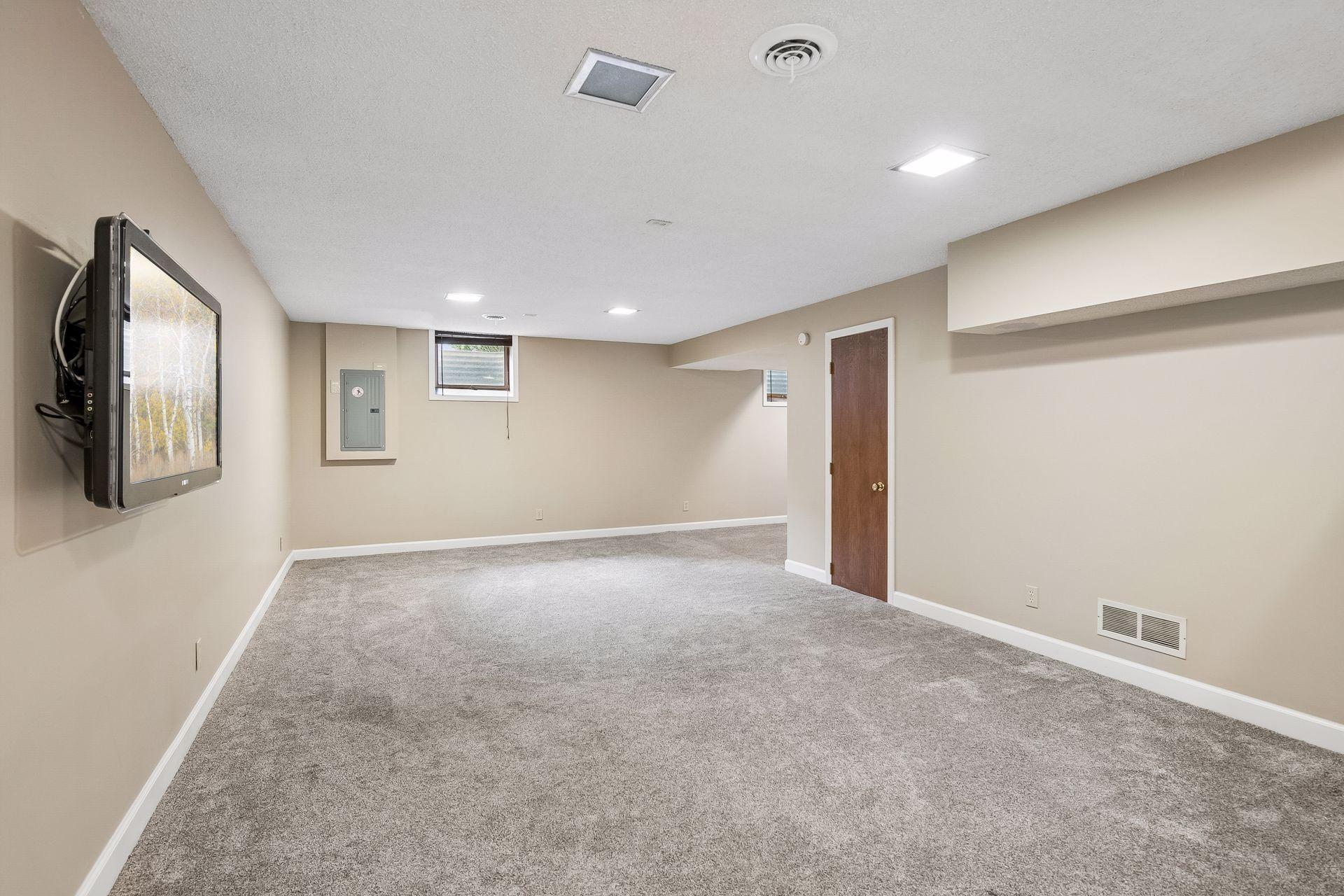 Lower level Family Room