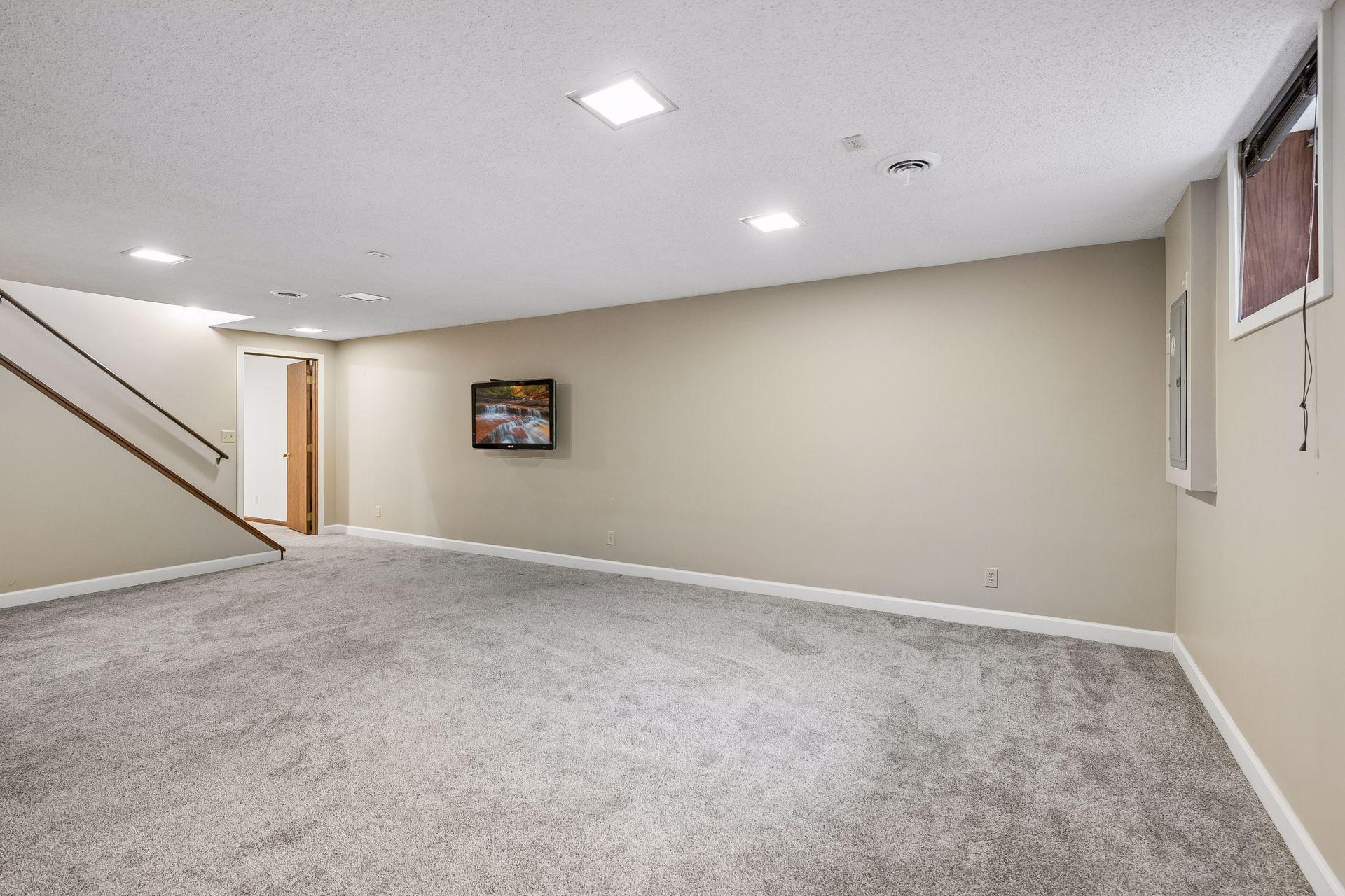 Lower level Family Room