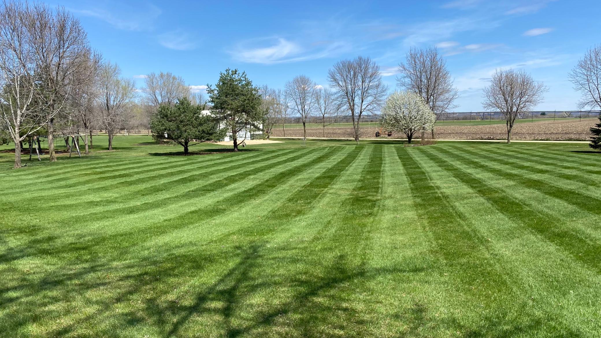 Meticulously kept yard