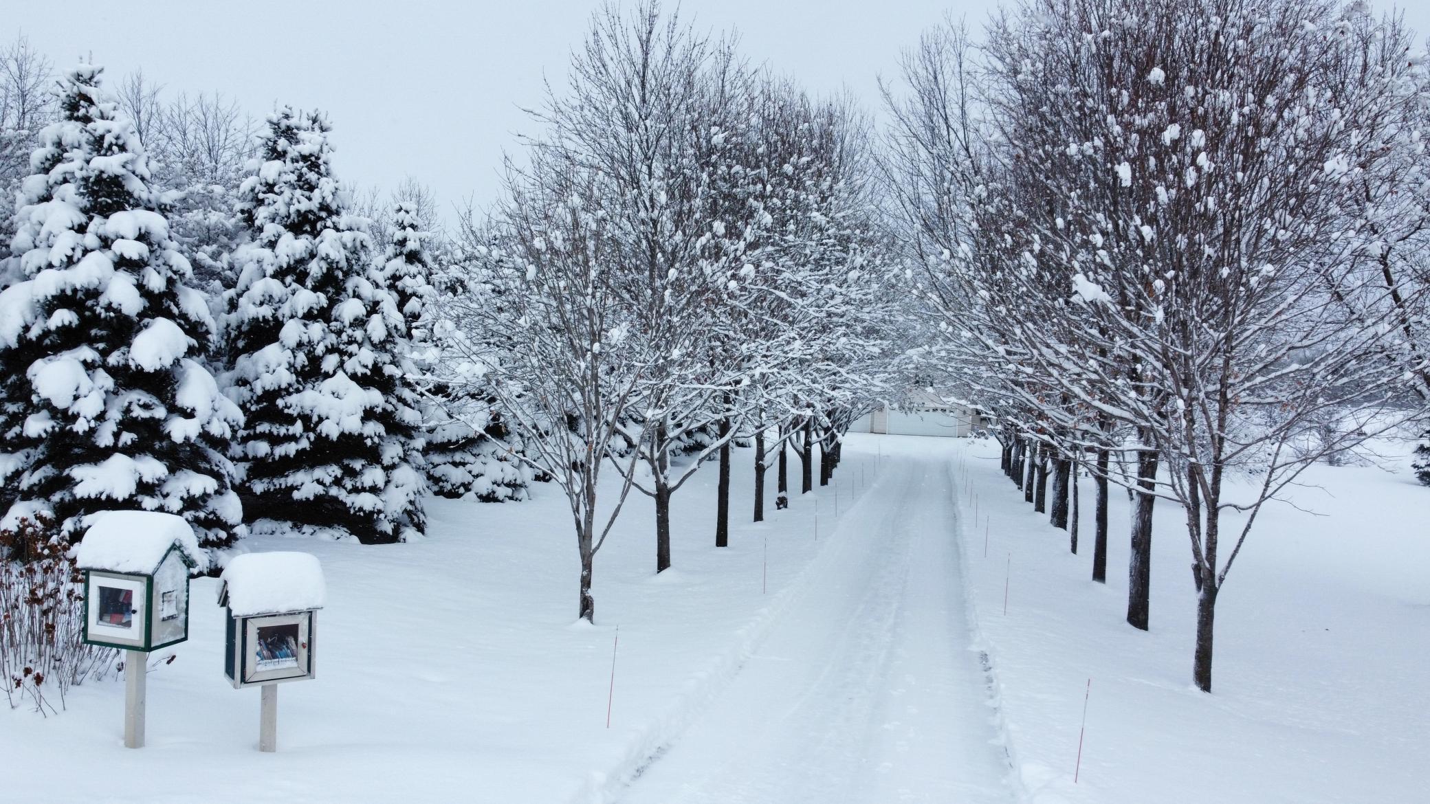 Winter view of the tree lined driveway