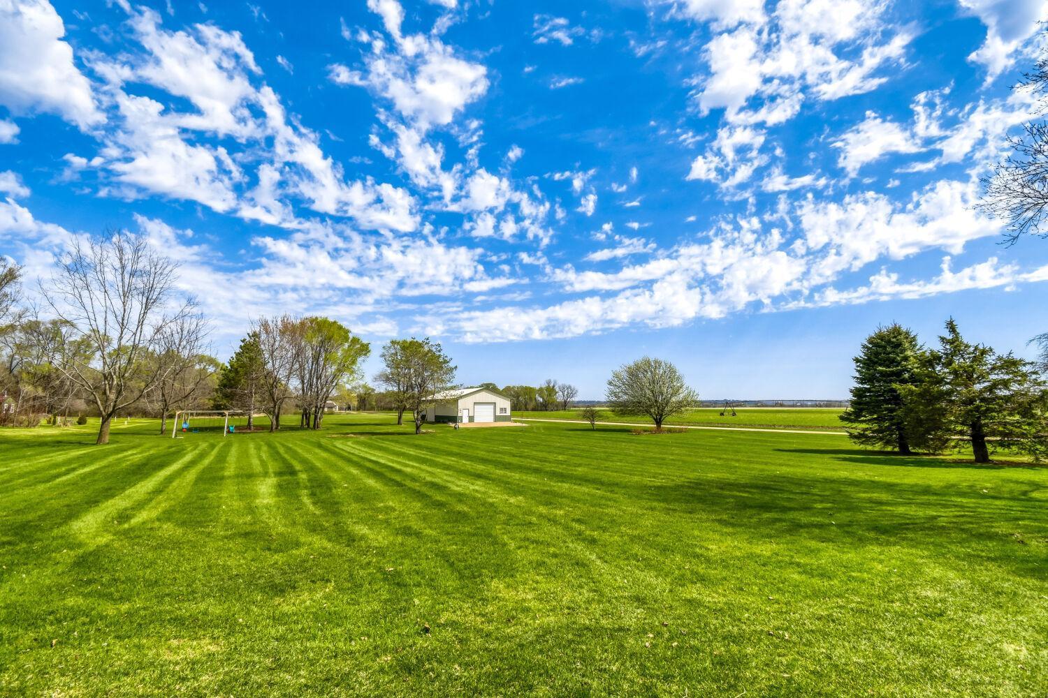 Backyard from the house to the shed