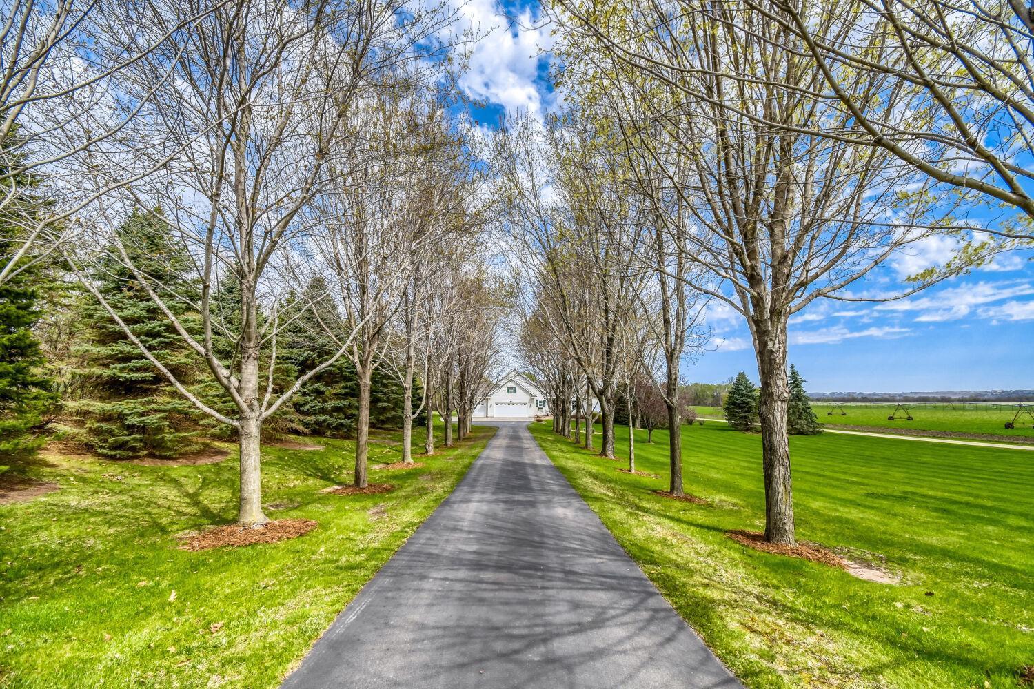 Tree lined driveway offers a canopy when the trees are in full bloom