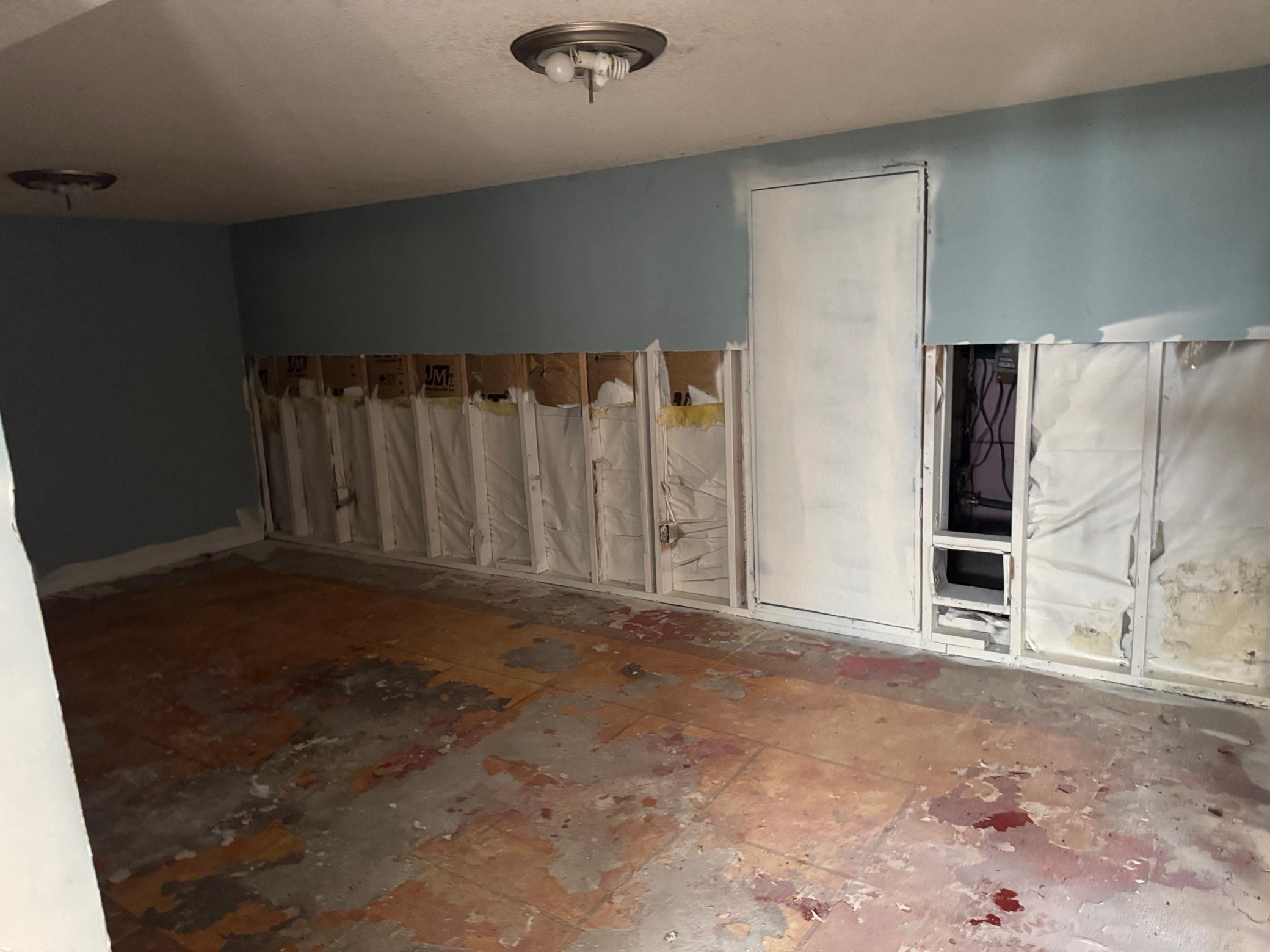 Rec room in lower level.