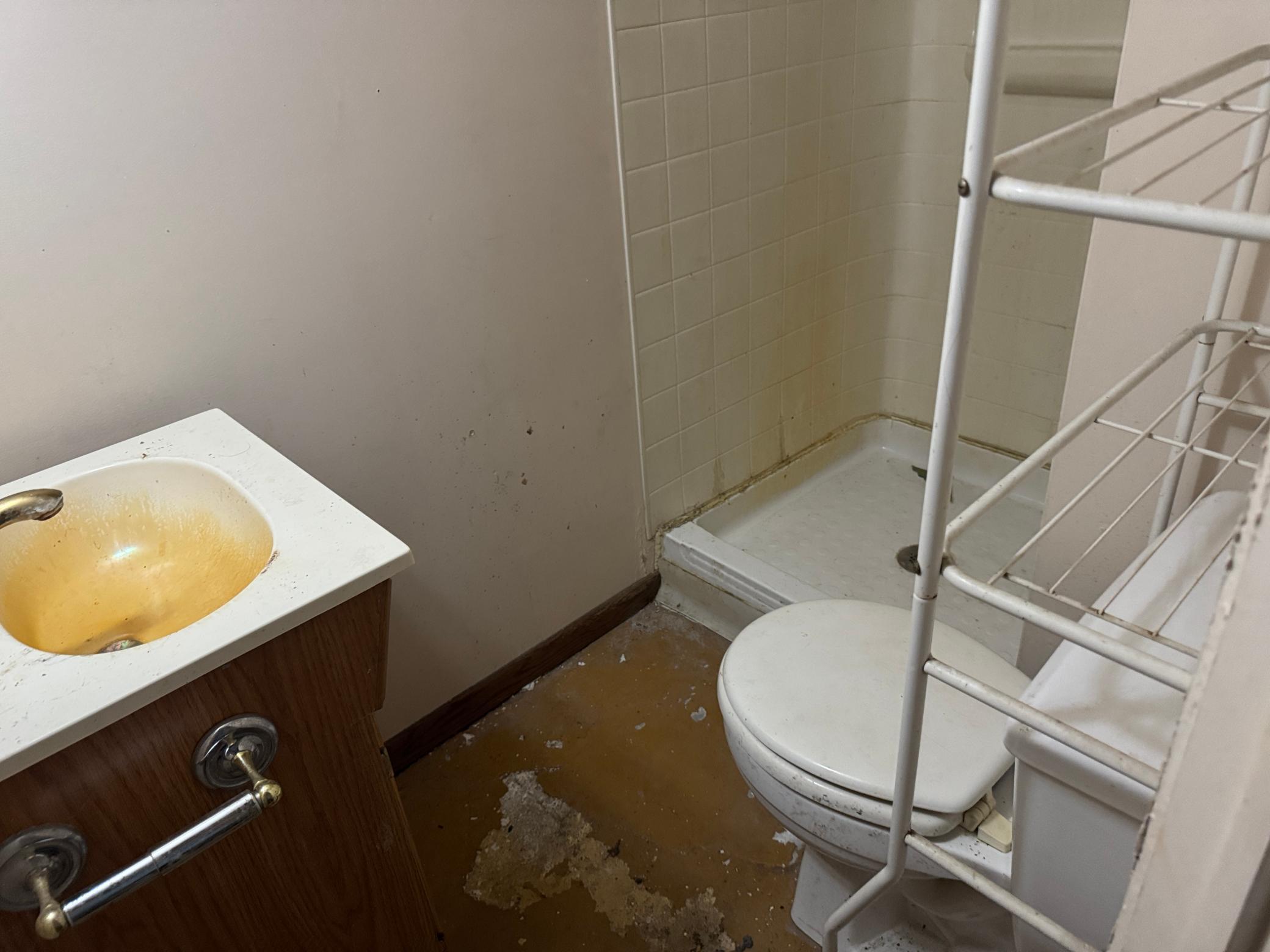 Bathroom 3 Lower level