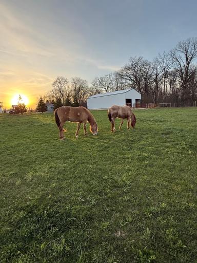 1545 Highway 60 Boulevard, Kenyon, MN 55946