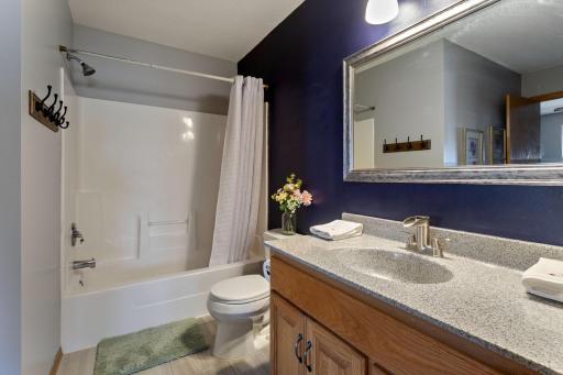 11011 Douglas Lane N, Champlin, MN 55316