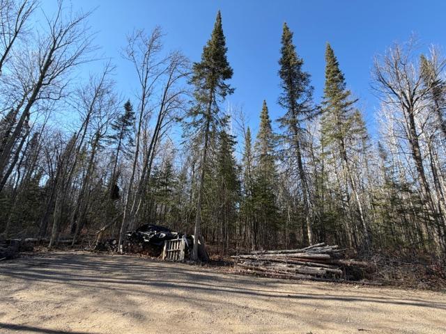 Large parking area and driveway