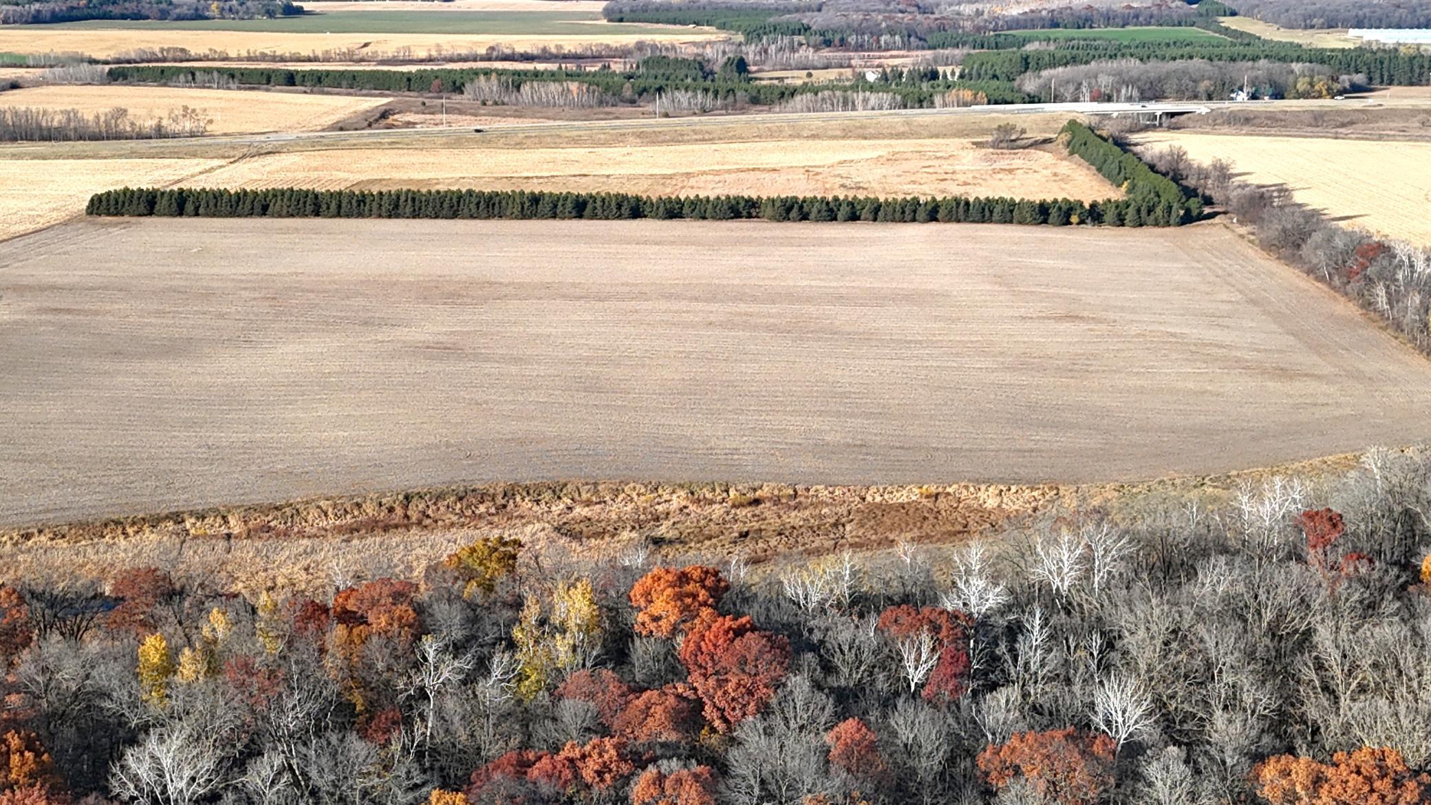 DJI_20251029162134_0183_D.JPG